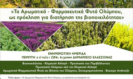 Την Πέμπτη 21/10/2021 στο Δημαρχείο Ελασσόνας  -Τεράστιο ενδιαφέρον για την Ενημερωτική  ημερίδα για τα Αρωματικά –Φαρμακευτικά Φυτά του Ολύμπου – Ο Διευθυντής του Πράσινου Ταμείου και η Διευθύντρια του ΕΛΓΟ «Δήμητρα» συμμετείχαν στη συζήτηση